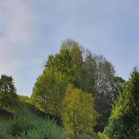 Excellent In Borstendorf With Garden Villa