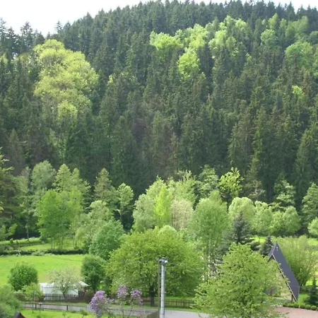 Excellent In Borstendorf With Garden Villa *