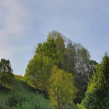 Sunny Escape In Borstendorf *