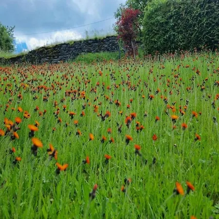 Sunny Escape In Borstendorf Grunhainichen