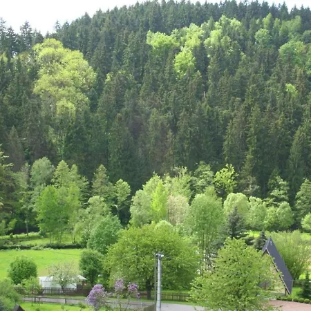 Sunny Escape In Borstendorf Villa Grunhainichen