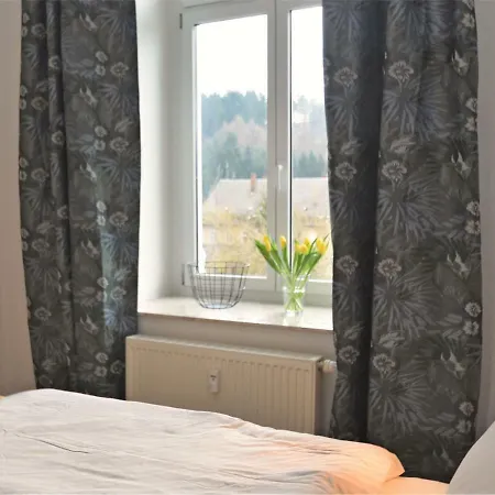 Excellent In Borstendorf With Garden