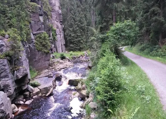 Sunny Escape In Borstendorf Villa Grunhainichen