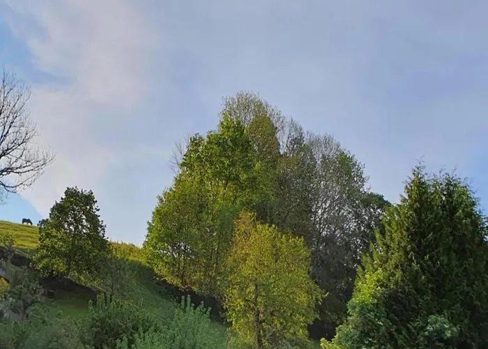 Sunny Escape In Borstendorf *