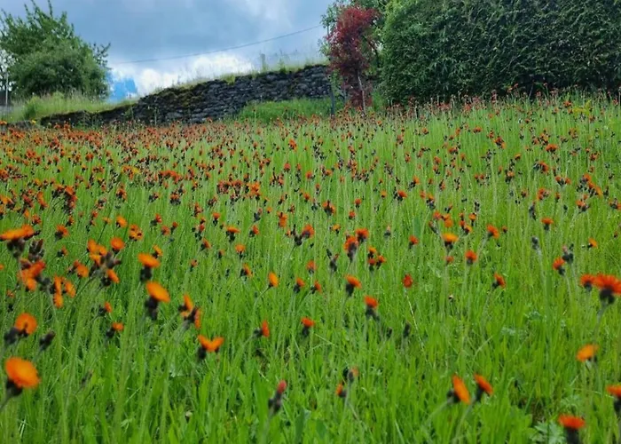 Sunny Escape In Borstendorf Grunhainichen